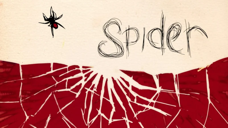 Spider