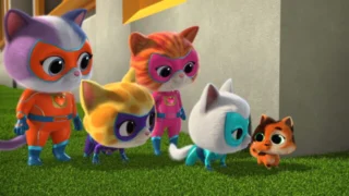 SuperChatons