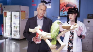 NCIS