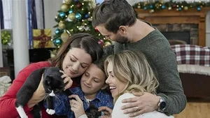 Neuf chatons pour Noël