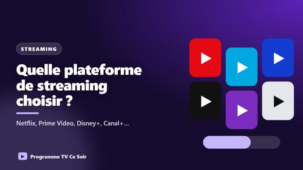 Netflix, Prime Video, Disney+, Canal+, HBO Max, Apple TV : quelle plateforme choisir ?
